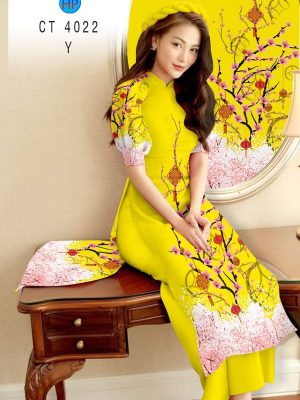 1608004647 85 vai ao dai dep (11)